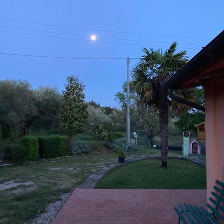 בית הארחה טואורו סול טראסימנו 	Le Coccole Del Trasimeno מראה חיצוני תמונה