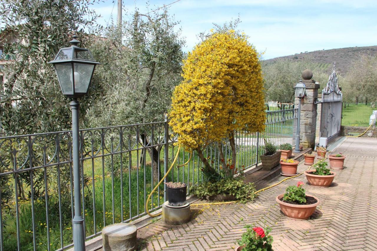 בית הארחה טואורו סול טראסימנו 	Le Coccole Del Trasimeno מראה חיצוני תמונה