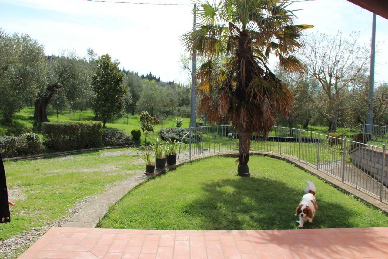 בית הארחה טואורו סול טראסימנו 	Le Coccole Del Trasimeno מראה חיצוני תמונה