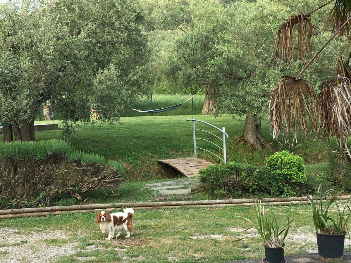 בית הארחה טואורו סול טראסימנו 	Le Coccole Del Trasimeno מראה חיצוני תמונה